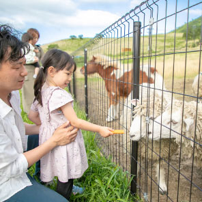 Petting zoo “Amama farm”