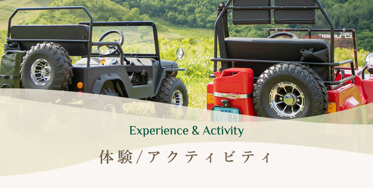 体験／アクティビティ